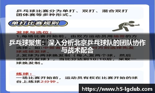 乒乓球聚焦：深入分析北京乒乓球队的团队协作与战术配合